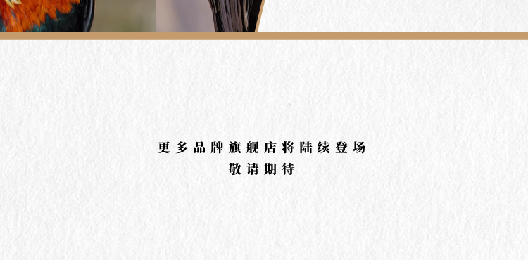 微信图片_20200714181142_11.png
